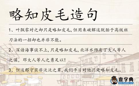 略知皮毛造句