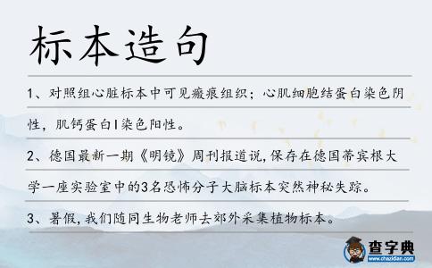 標本造句