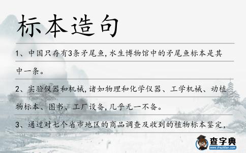 標本造句