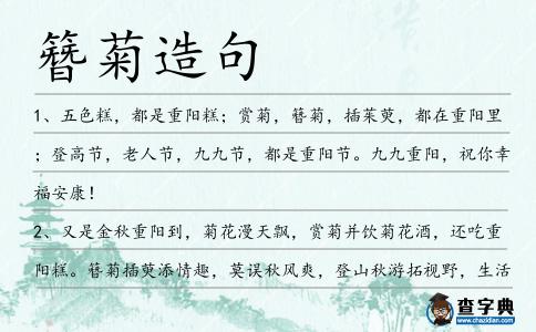 簪菊造句