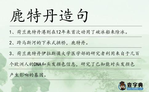鹿特丹造句