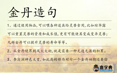 金丹造句