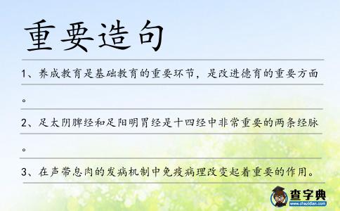 重要造句