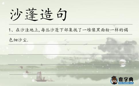 沙蓬造句