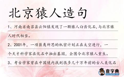 北京猿人造句
