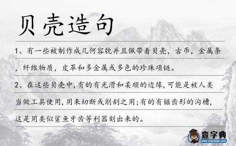 貝殼造句