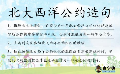 北大西洋公約造句