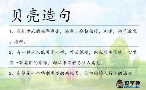 貝殼造句