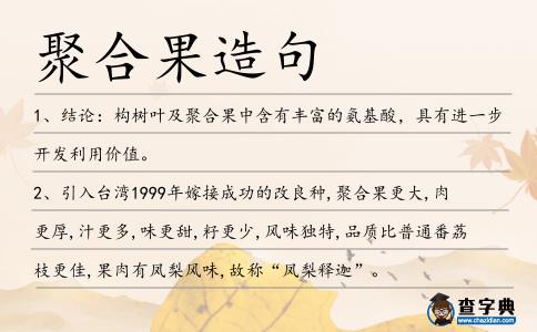 聚合果造句