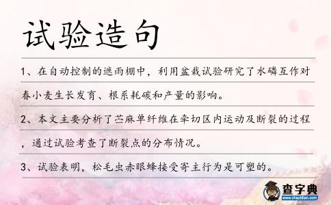 試驗造句