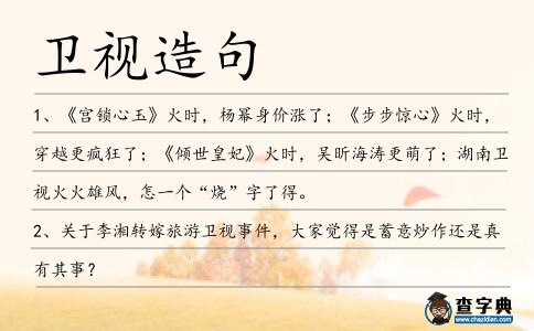 衛(wèi)視造句