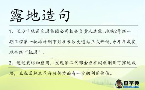 露地造句