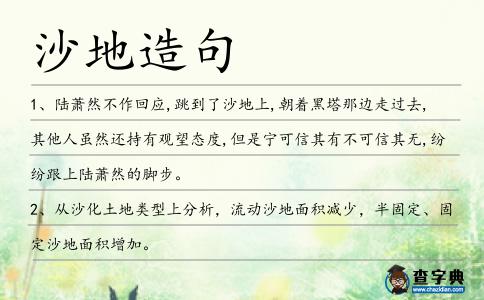 沙地造句