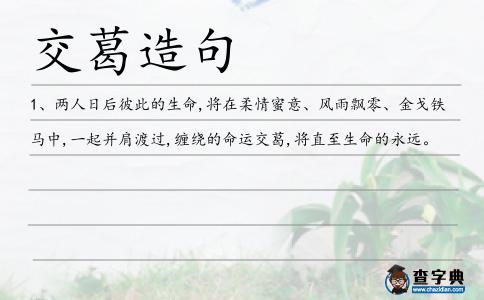 交葛造句