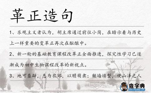 革正造句