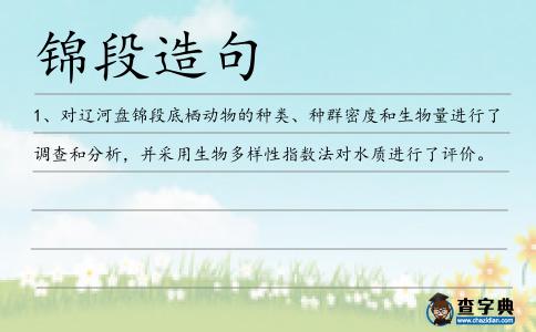 錦段造句