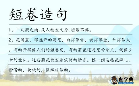短卷造句