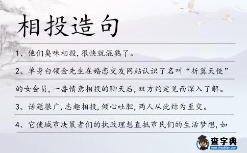 相投造句