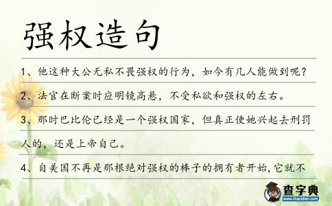 強權(quán)造句
