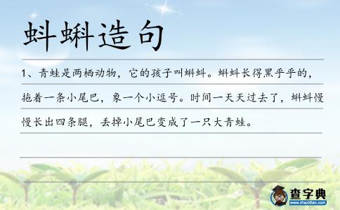 蚪蝌造句