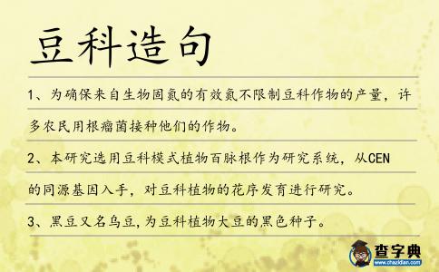 豆科造句