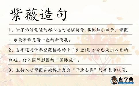 紫薇造句