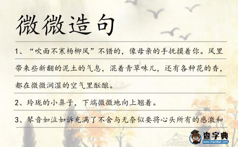 微微造句