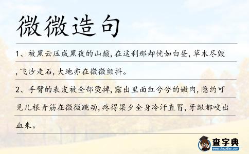 微微造句