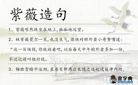 紫薇造句