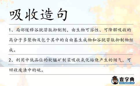 吸收造句