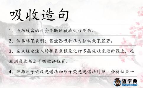 吸收造句