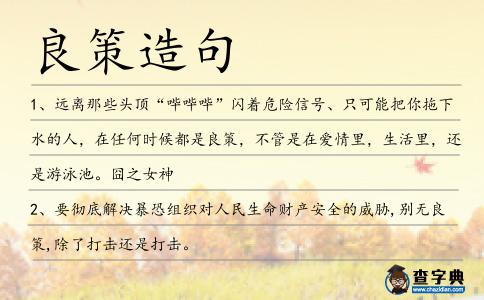 良策造句