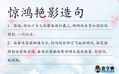 驚鴻艷影造句
