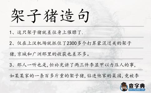 架子豬造句