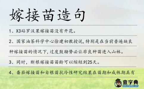 嫁接苗造句