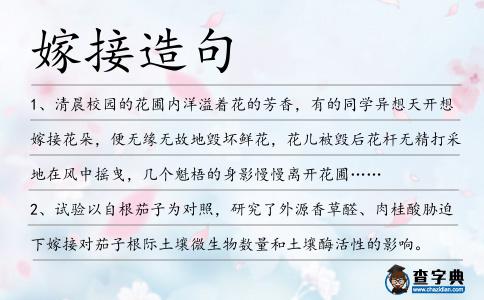 嫁接造句