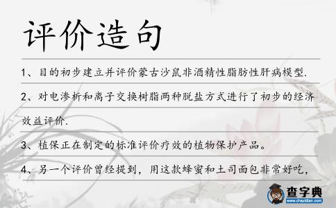 評價(jià)造句