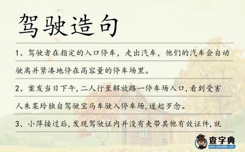 駕駛造句