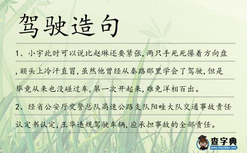 駕駛造句