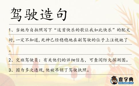 駕駛造句