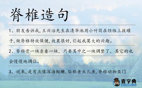 脊椎造句