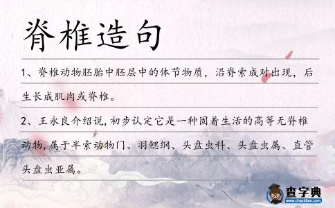 脊椎造句