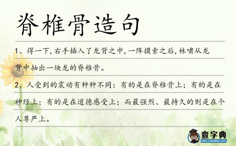 脊椎骨造句