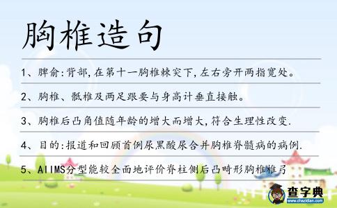 胸椎造句