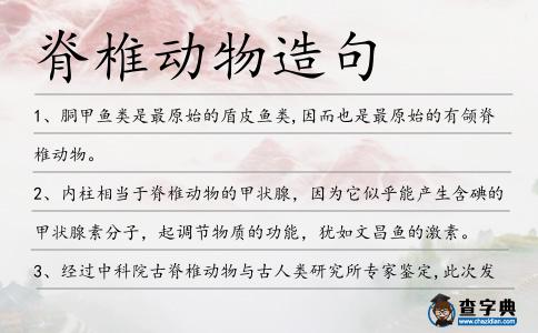 脊椎動物造句