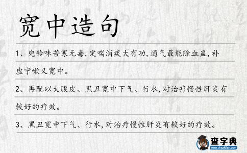 寬中造句