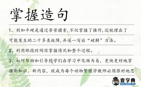 掌握造句