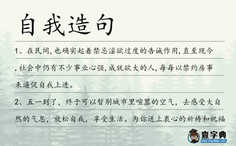 自我造句
