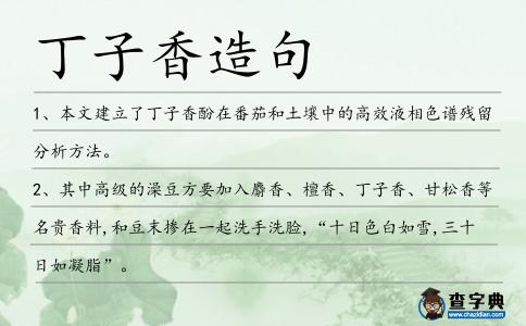 丁子香造句