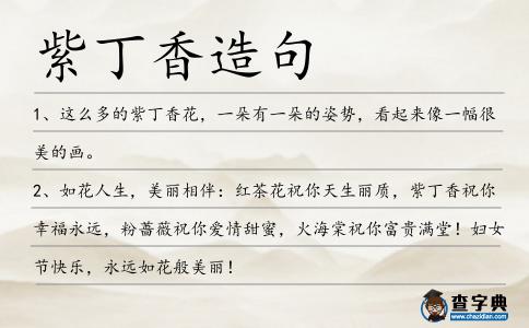 紫丁香造句